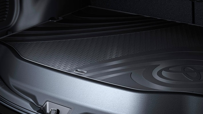 <img src="Cargo Mat (Alloy Wheel compatible)