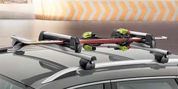 Lockable Ski and/or Snowboard Carrier