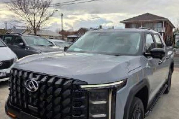 2025 LDV Terron 9 No Series Origin Ute Image 51