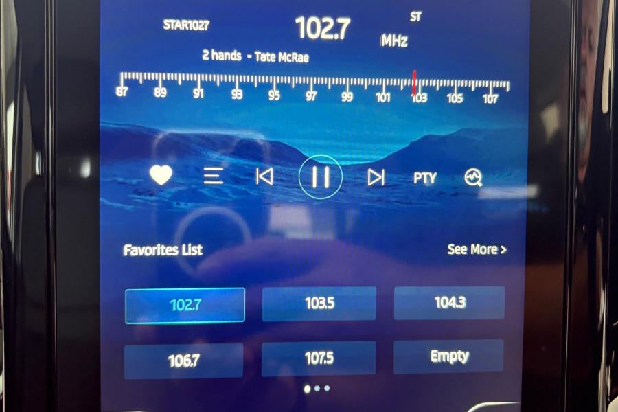 2024 JAC T9  Oasis Ute Image 21