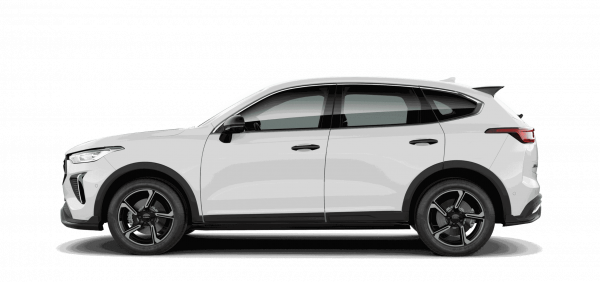 Premium Hybrid