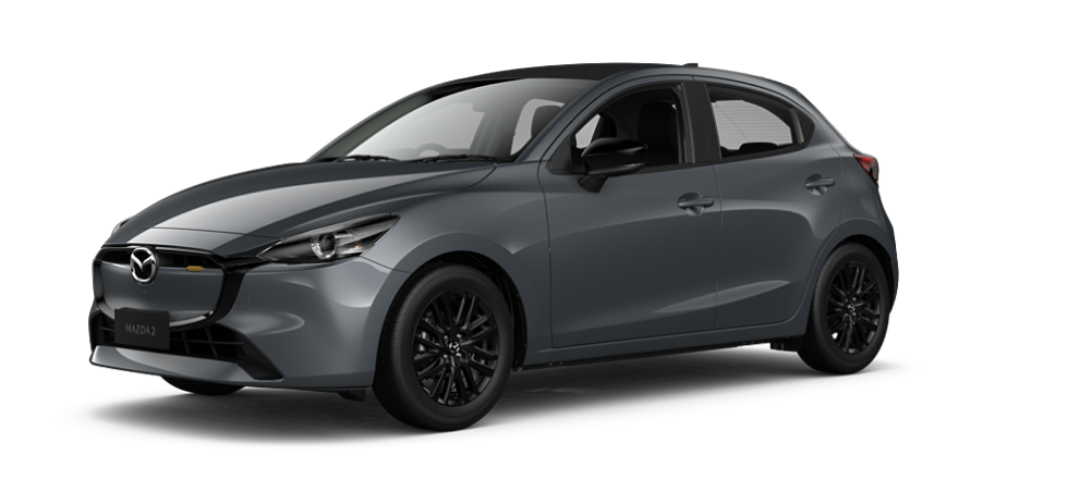 Polymetal Grey Metallic