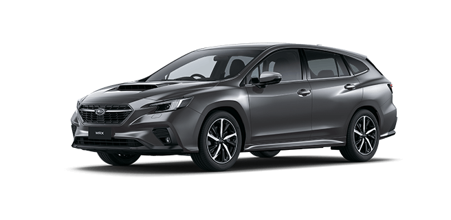 Magnetite Grey Metallic