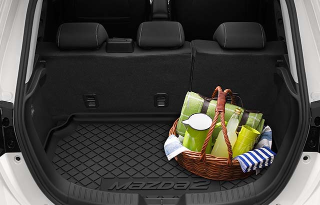 <img src="Cargo Tray