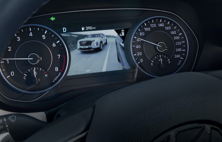 Palisade Monitoring your blind spots.