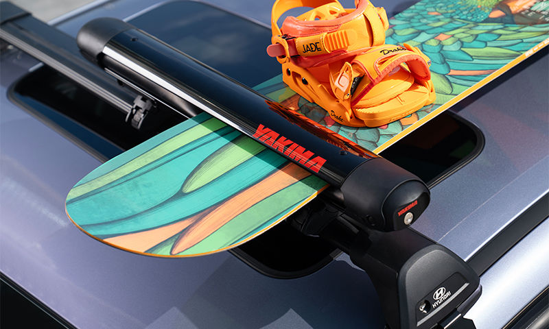 Ski & snowboard carrier