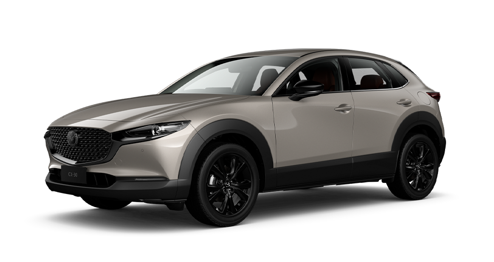 G20 Touring LE