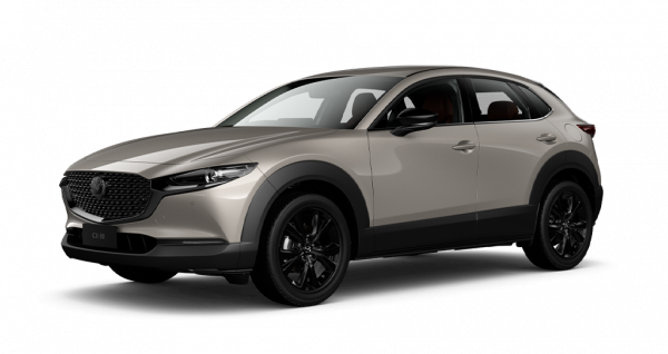 G20 Touring LE