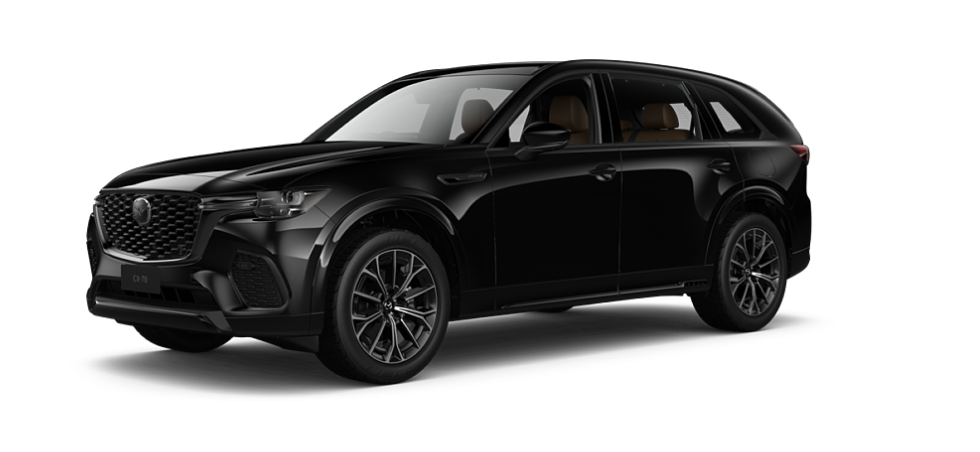 Jet Black Mica