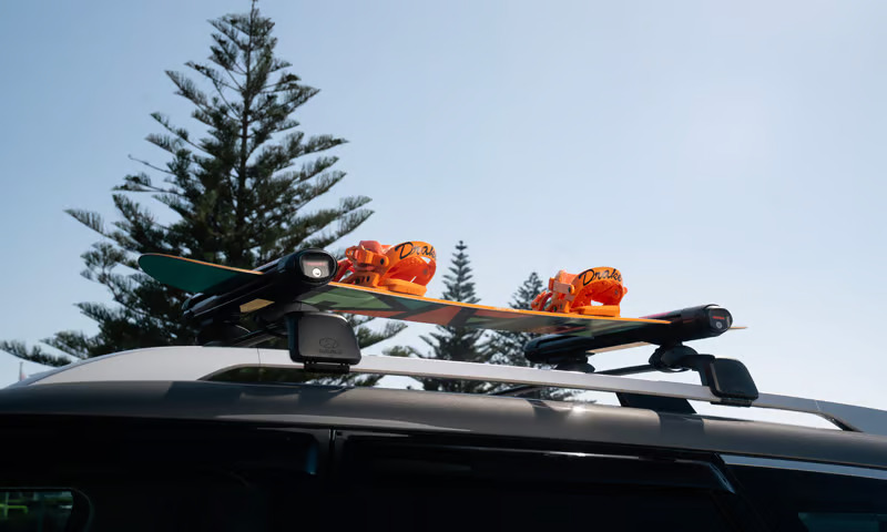 Ski &amp; snowboard carrier