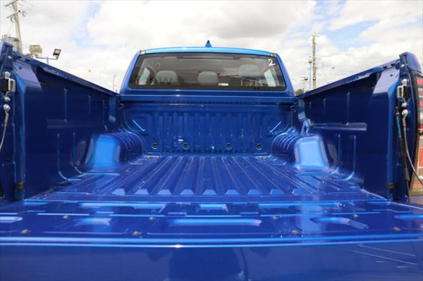 2020 MY21 Great Wall Ute NPW Cannon Utility