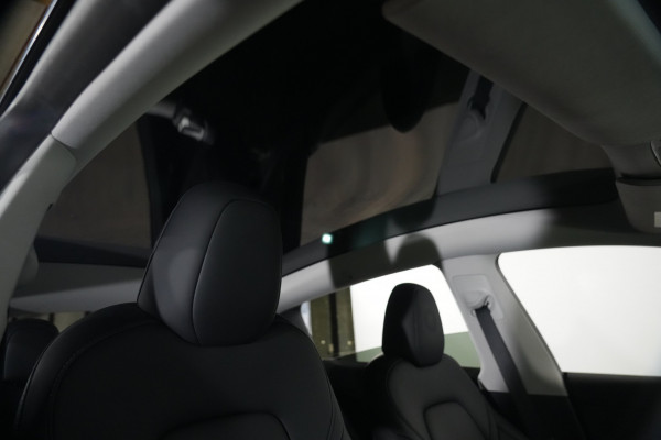 2023 Tesla Model Y  Performance SUV Image 20
