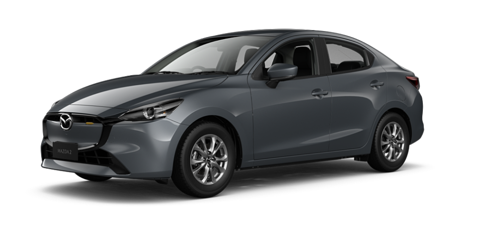 Polymetal Grey Metallic