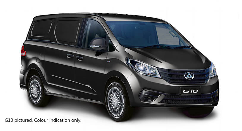 2025 LDV G10 SV7C + Van