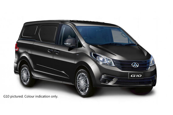 2025 LDV G10 SV7C + Van