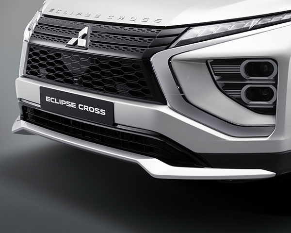 Front bumper garnish (Silver)