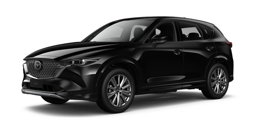 Jet Black Mica