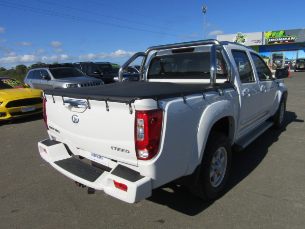 2019 Great Wall Steed NBP UTE Utility