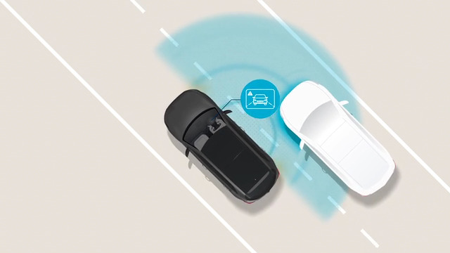 Blind-Spot View Monitor (BVM) Image
