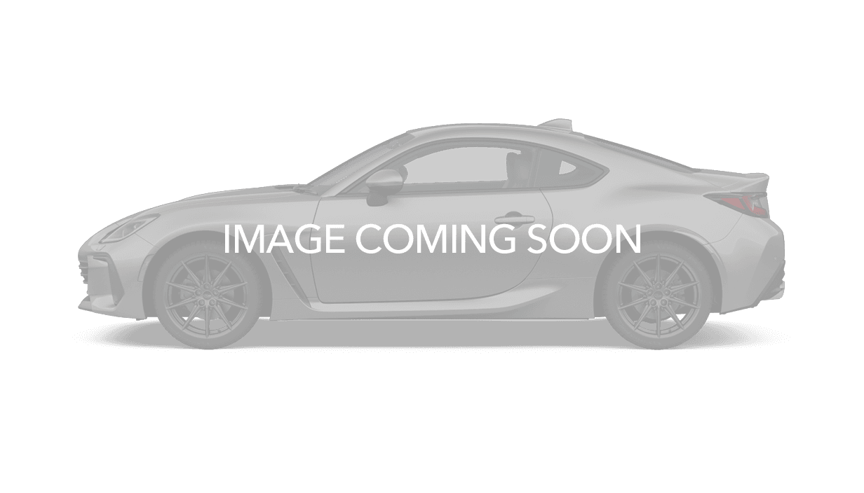 <img src=