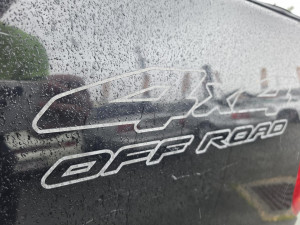 2015 MY14 Nissan Navara D40 Series 8 Silverline SE Dual Cab Pickup