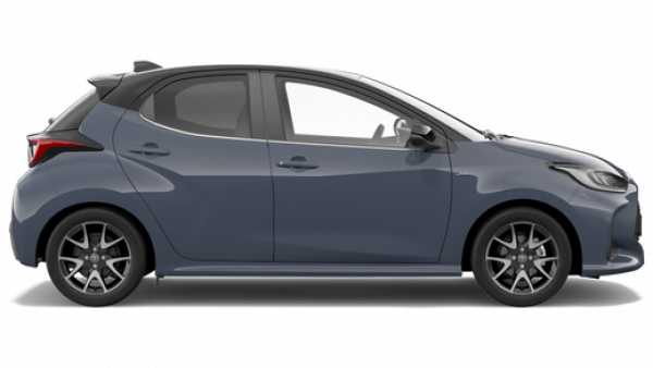 Massive Grey / black roof