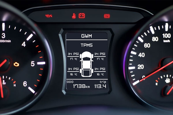 Steed Dual Cab Petrol Instrumentation