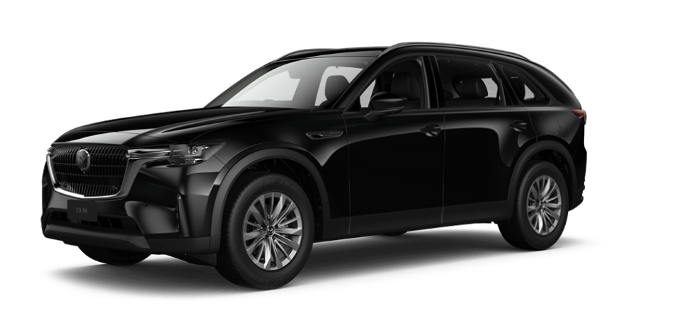 Jet Black Mica