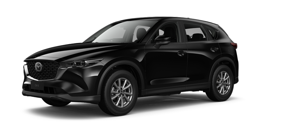 Jet Black Mica
