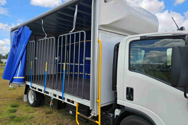 2025 Isuzu  NQR 88/80-190 AM D42 FREIGHT Curtainsider Image 8
