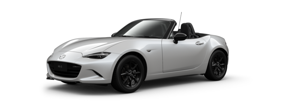 Snowflake White Pearl Mica