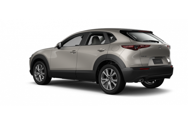 2026 Mazda CX-30 DM Series G20 Evolve SUV Image 19