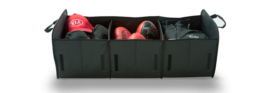 Cargo Organiser