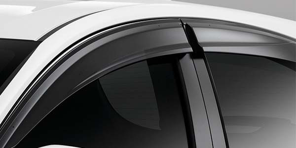 <img src="Door Visor Set