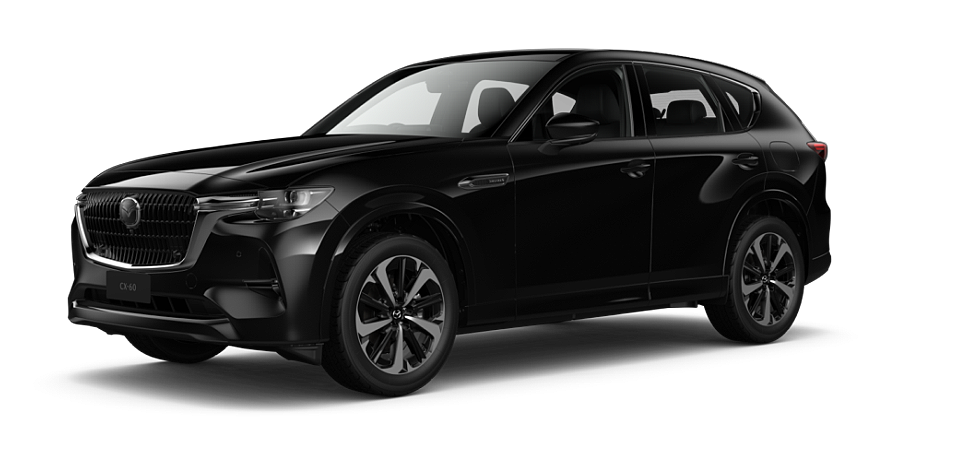 Jet Black Mica