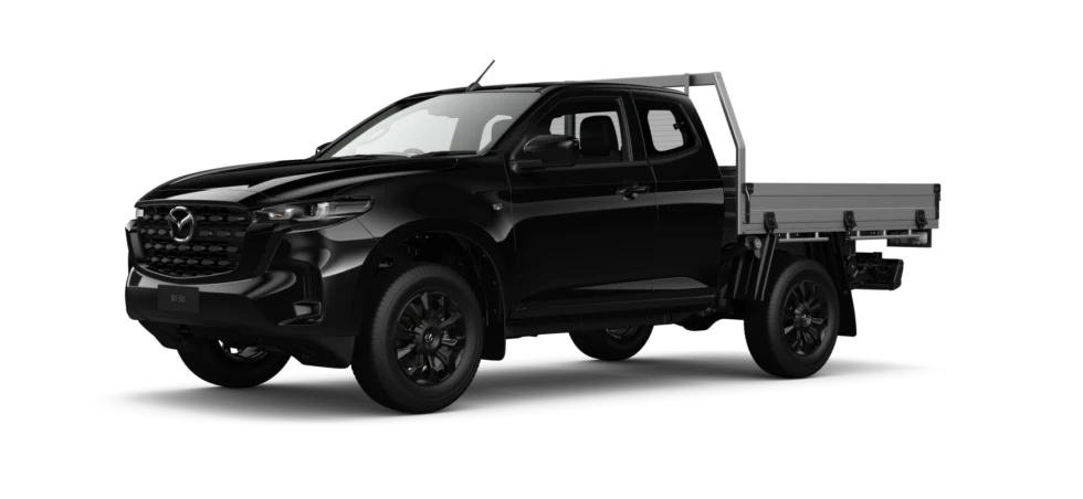 True Black Mica