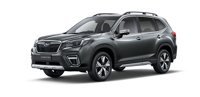 Magnetite Grey Metallic