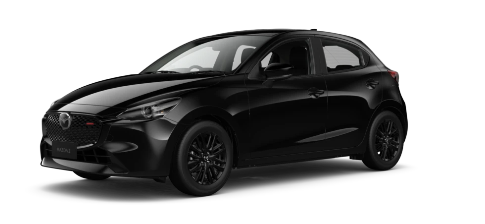 Jet Black Mica