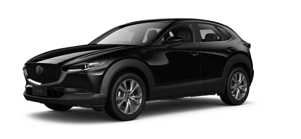 Jet Black Mica
