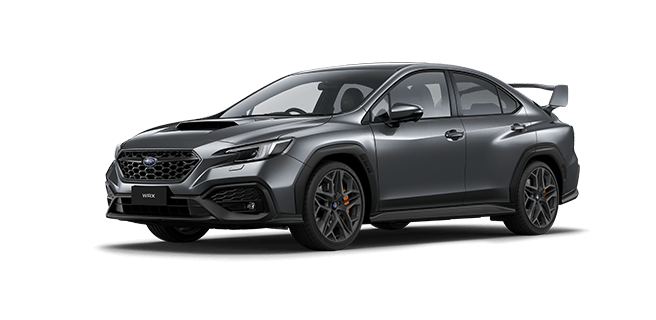 Magnetite Grey Metallic