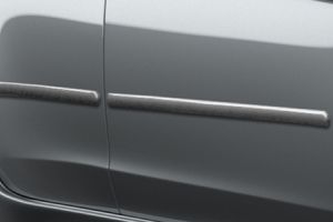 <img src="Side Protection Mouldings