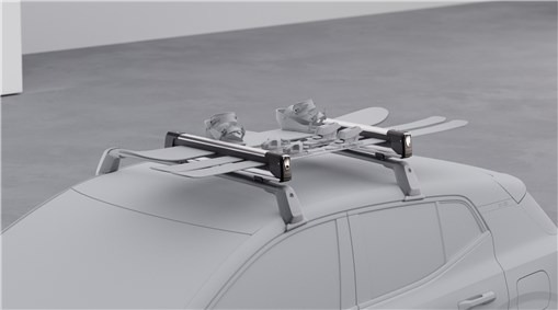 Retractable ski holder