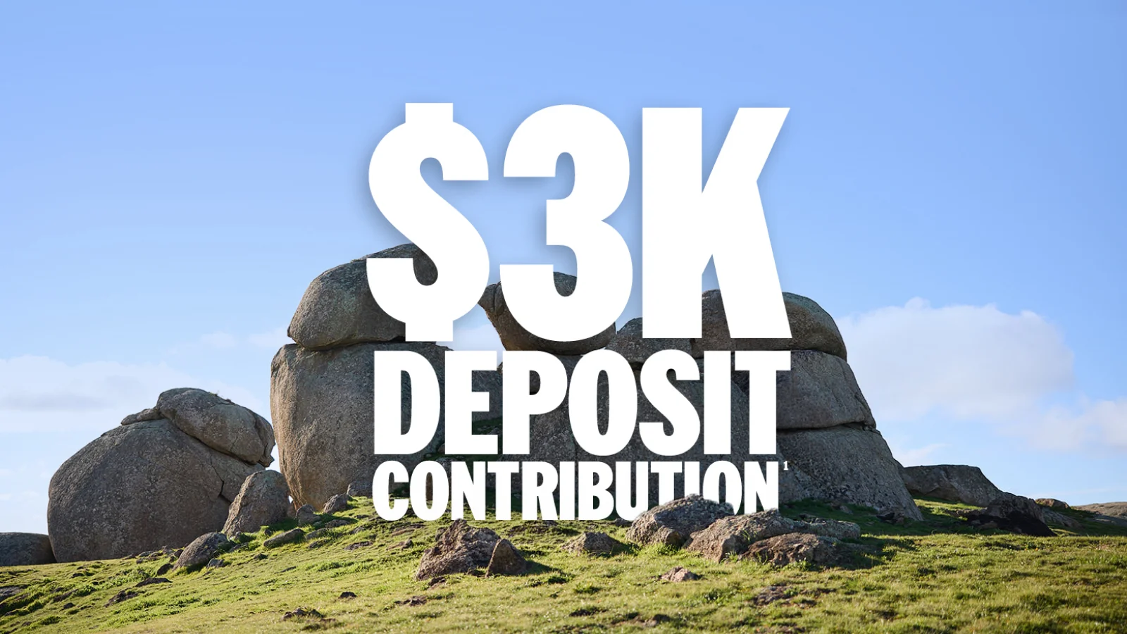 Ford Finance $3K Deposit Contribution