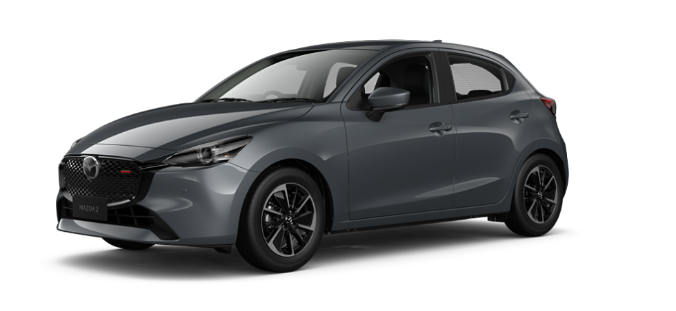 Polymetal Grey Metallic