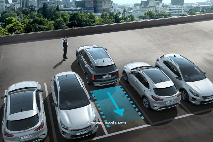 Remote Smart Parking Assist