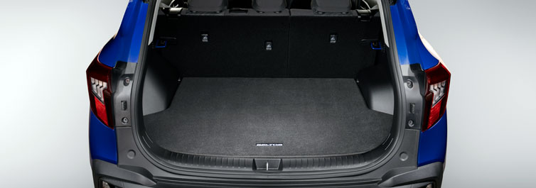 Carpet Cargo Mat