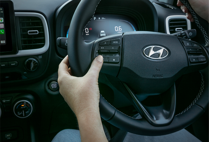 Steering wheel-mounted controls