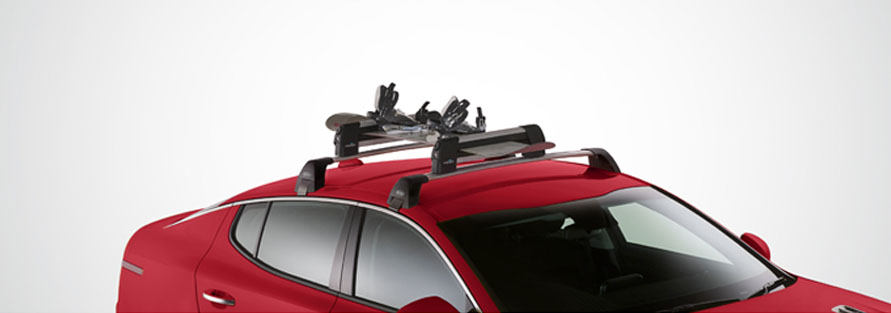 Snow Ski Carrier