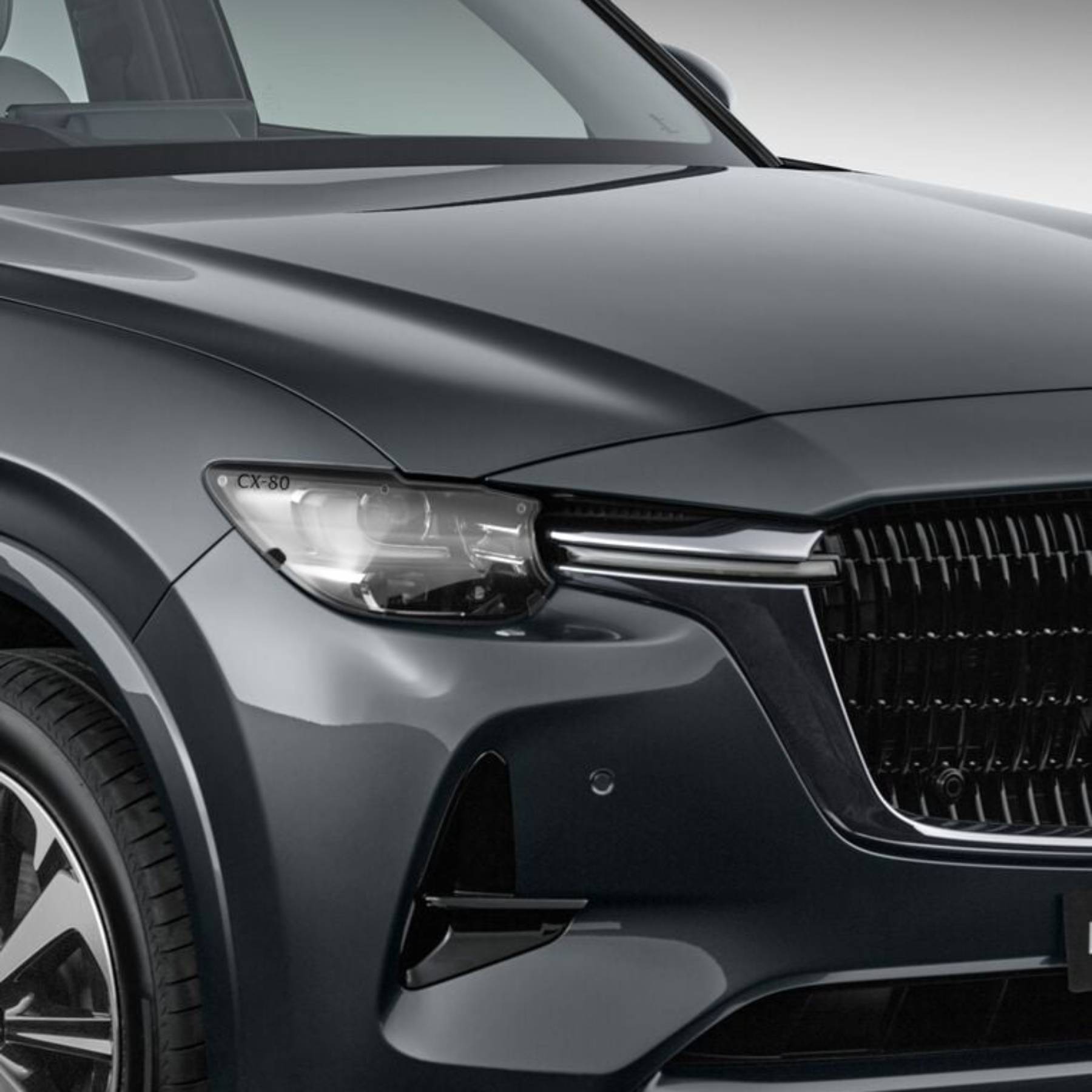 Headlight Protectors