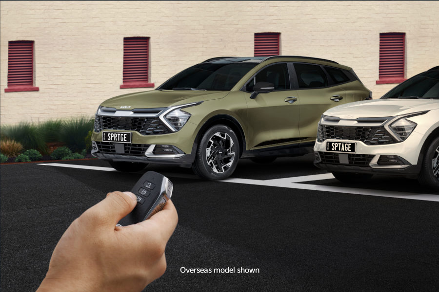 Remote Smart Parking Assist